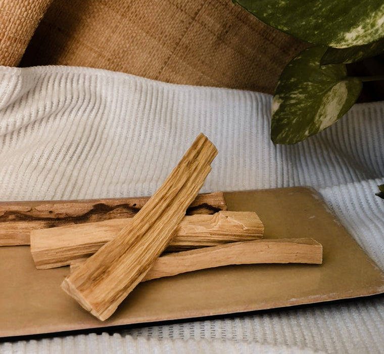 PALO SANTO - Bois à bruler - Ambiance